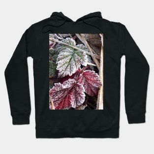 Peaceful Frosty Holiday Leaves Hoodie